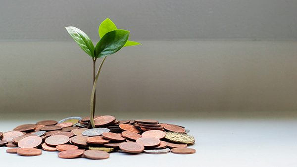 Image of coins with a small tree growing